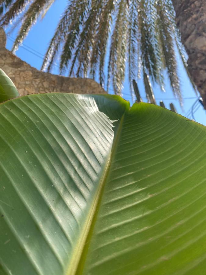 شقة Denia'S Beach House المظهر الخارجي الصورة
